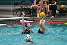 WWPolo vs CC  Wheaton College Women’s Water Polo vs Connecticut College. - Photo By: KEITH NORDSTROM : Wheaton, water polo